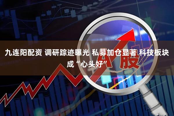 九连阳配资 调研踪迹曝光 私募加仓显著 科技板块成“心头好”