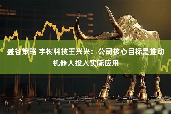 盛谷策略 宇树科技王兴兴：公司核心目标是推动机器人投入实际应用