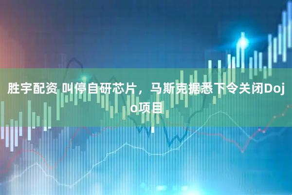 胜宇配资 叫停自研芯片，马斯克据悉下令关闭Dojo项目
